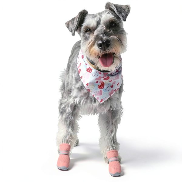 QUMY Dog Boots Breathable Mesh Anti Slip Small Dog Shoes-5