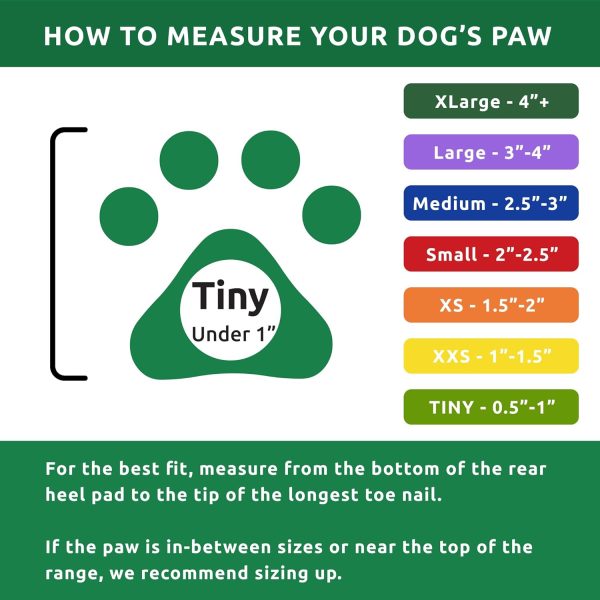 Pawz Dog Boots Rubber Shoes Small Paws All Weather-5