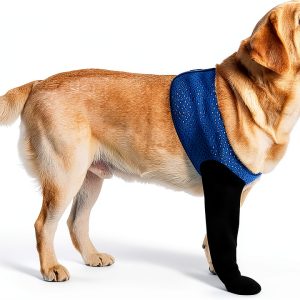 Hanfu Dog Paw Protectors Recovery Sleeves Grey Blue Purple-0
