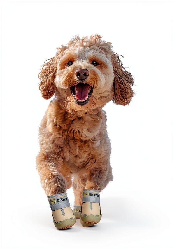 HCPET Dog Boots Waterproof Breathable Medium-2