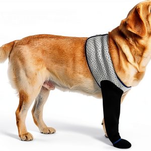 Hanfu Dog Paw Protector Sleeves Recovery Licking Prevention-0