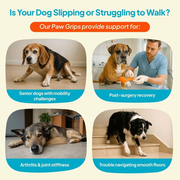 Steady Paws Anti Slip Dog Paw Pads Traction for Floors-4