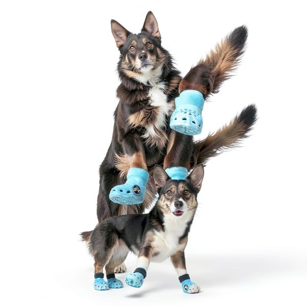 Crocs Dog Boots Lightweight EVA Aqua Yellow BarkBox-2
