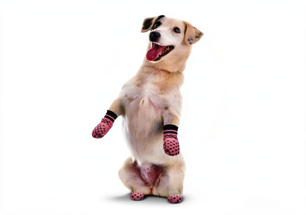 Dog Paw Socks A AIEDOULER Grippy Cotton Design-2