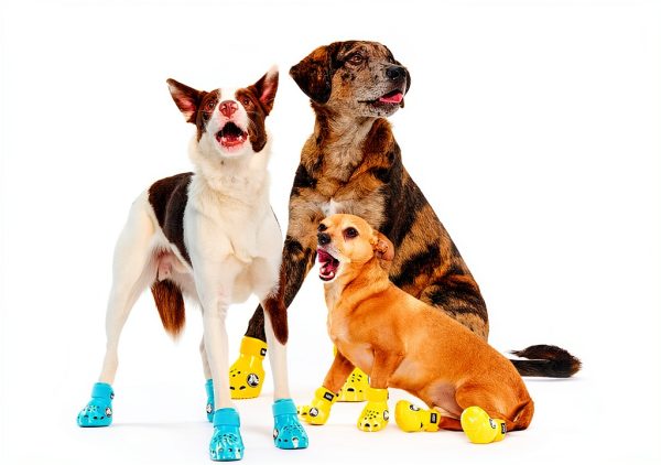 Crocs Dog Boots Lightweight EVA Aqua Yellow BarkBox-3