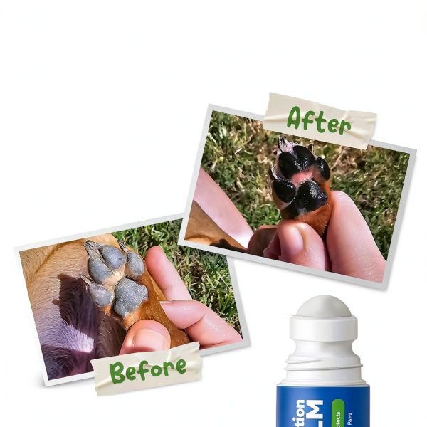 Muttly Roll on Paw Balm Natural Dog Paw Protector-2