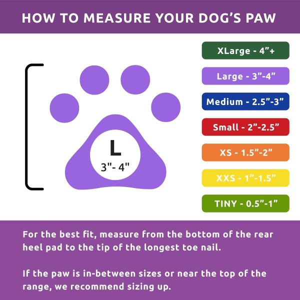 Pawz Dog Boots Rubber Shoes All Weather Protection Large-5