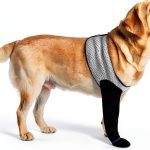 Hanfu Dog Paw Protector Sleeves Recovery Licking Prevention-0