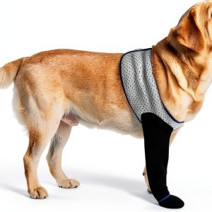 Hanfu Dog Paw Protector Sleeves Recovery Licking Prevention-0