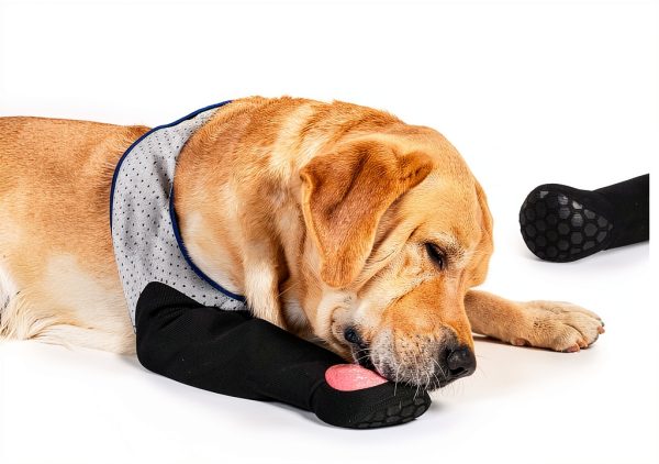 Hanfu Dog Paw Protector Sleeves Post Surgery Recovery Aid-1