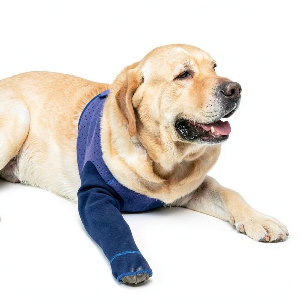 Hanfu Dog Paw Protector Sleeves Post Surgery Recovery Aid-5