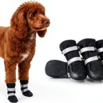 Spark Paws All-Terrain Dog Boots for Small Dogs-0